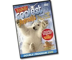 Alaska's Coolest Animals and The Biggest Bears