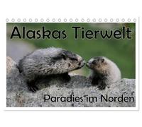 Alaskas Tierwelt - Paradies im Norden (Tischkalender 2026 DIN A5 quer), CALVENDO Monatskalender: Wunderschöne, spektakuläre und emotionale ... ist Alaska das Paradies des Nordens!