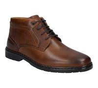 Alastair 17 cognac 50