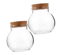 Alasum 2 Pièces Bouteille pour Micro-Paysage Verre Transparent Pot Rond pour Plantes DIY Contenant Décoratif avec Couvercle pour Paysage Mousse