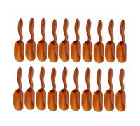 Alasum 30 Pièces Pelles Cuillères de Jardin Multifonction pour Plantation Plantes Grasses et Micro-paysages Outils Ergonomiques Portables pour Usages Maison et Boutique Finition Miroir