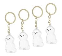 Alasum 4 pièces Porte-clés Urne Souvenir Chien Chat Boîte Transparente Collection Poils Animaux Accessoire et Portable pour Mémorial Animal de Compagnie