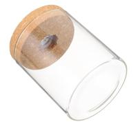 Alasum Bouteille Cylindrique LED en Verre Borosilicate Blanc | Décoration Intérieure, Lumière Intégrée, Bois et Transparence pour Observation Facile