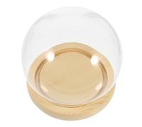 Alasum Dôme de Verre Rond avec Base en Bois pour Fleurs Éternelles, Terrarium Décoratif pour Plantes Stabilisées, Vitrine Transparente Polyvalente pour Jardinage et Décoration Intérieure