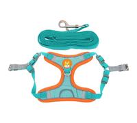 Alasum Harnais pour Petit Chien avec Laisse Kit de Promenade Respirant et Confortable Sécurité Anti-évasion pour Chiots et Animaux de Compagnie
