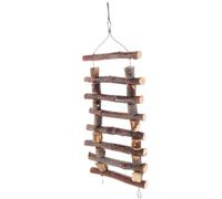 Alasum Jouets à Mâcher en Bois pour Cochons d'Inde et Petits Animaux, Protège Meubles et Chaussures, pour Jouer et Ronger Naturellement