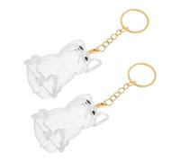 Alasum Lot de 2 Porte-Clés Transparents de Capsule pour Poils de Chien Contenant Souvenir Commémoratif pour Poils D’Animaux Accessoire Portable pour Collection et Rangement