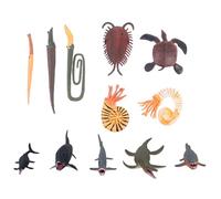 Alasum Modèle de Créatures Aquatiques Préhistoriques 12 Pièces Figurines Marines Réalistes en Plastique Éducatif Interactif pour Garçon et Filles Décoration Bureau et Apprentissage