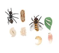 Alasum Modèles du Cycle de Vie des Abeilles et Fourmis en Plastique, 2 Ensembles Éducatifs Miniatures pour Garçon et Filles, Jouets Cognitifs D’Apprentissage Scientifique, Cycle