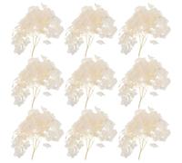 Alasum Pétales D'hortensia Séchées Confettis Fleurs Séchées Solide Beige 1 Set pour Décoration Mariage Élégante pour Centre de Table Vintage