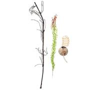 Alasum Plantes Grimpantes pour Reptiles 3 Pièces Coquille de Noix Cachette Naturelle, Décor de Terrarium Sécurisé, Décor Végétal sans Danger, pour Lézards et Habitat Terrarium