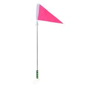 Alasum Porte Drapeau avec Installation Rapide en Acier Inoxydable Télescopique et Identification Facile de Groupe pour Événements de Voyage et Visites Touristiques