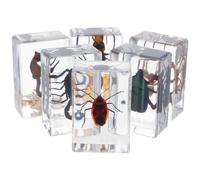 Alasum Spécimens D'insectes en Résine Collection Scientifique Éducative 6 Pièces Presse-papiers, Décoration Élégante Maison et Espace de Travail