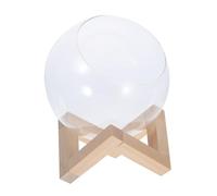 Alasum Vase Verre Rond avec Support Bois pour Micro Paysage Jardinière Balcon et Propagation Plantes Hydroponiques Intérieur Transparent Facile à Entretenir