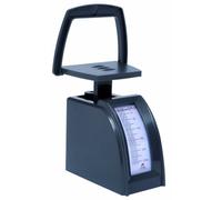 Alba Pèse-Lettre mécanique 250 g Lot de 1 Pèse Lettres mécanique 250g Gris