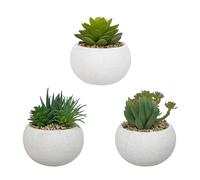 Alba Plantes Succulentes - Plantes grasses artificielles en pot pour décoration intérieur - Lot de 3