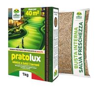 Albagarden - Graines de gazon universelles résistantes - 40 m² - Pour zones ombragées et ensoleillées - Semences d'herbe pour tapis herbeux hiver été - Peut être piétiné - Croissance rapide pour tout
