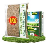 Albagarden - Graines de pelouse résistantes à la sécheresse - 40 m² - Graines d'herbe pour tapis herbeux pour zones ensoleillées - Piétinable - Croissance rapide pour chaque type de sol