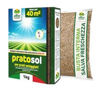 Albagarden - Graines de pelouse résistantes à la sécheresse - 40 m² - Graines d'herbe pour tapis herbeux pour zones ensoleillées - Piétinable - Croissance rapide pour chaque type de sol