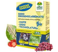 Albagarden - Hydrogénocarbonate de sodium - Effet fongicide Plantes Naturelles - Bicarbonate De Sodium Biologique, Contre Maladies, Oïdium, Moule, Vert, Milou x 500 gr
