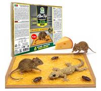 Albagarden - Lot de 6 mini pièges adhésifs pour souris, rats, cafards, fourmis et lézards. Tablette avec colle puissante et arôme alimentaire, utilisation intérieure et extérieure