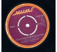Albert Hammond - It never rains in Southern California (1972) / Vinyl single [Vinyl-Single 7'']