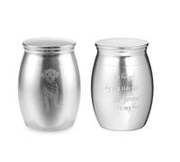 ALBERTBAND Petite Urne Photo Personnalisée pour Cendre Souvenir de Crémation Mini Urnes Funéraires pour Animaux de Compagnie Humains Cendres Mémorial Cendres Porte-Boîtes (#Argent)