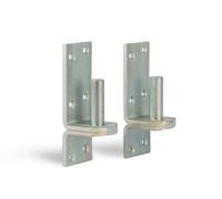 Alberts 311049 Gond sur platine | dans les modèles avec crochet DI ou DII | passivé | cote axe Ø20 mm | platine 167 x 60 mm | Set de 2 pièces