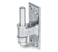 Alberts 311131 Gond à visser | réglable | passivé | cote axe Ø13 mm | platine 100 x 40 mm