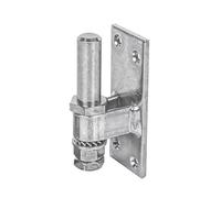 Alberts 311148 Gond à visser | réglable | passivé | cote axe Ø16 mm | platine 100 x 40 mm
