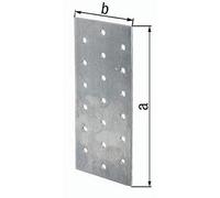 Alberts 332020 Platine d'assemblage | galvanisée Sendzimir | 200 x 100 mm