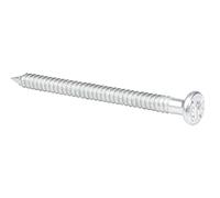 Alberts 342586 Clou d'ancrage | galvanisé | Ø4 x 60 | Jeu de 250 pièces