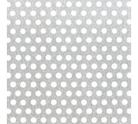 Alberts 464257 Tôle perforée | perforation de forme circulaire | aluminium, naturel | 300 x 1000 x 0,8 mm