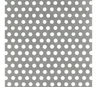 Alberts 466916 Tôle perforée | perforation de forme circulaire | aluminium, anodisée, couleur argent | 200 x 1000 x 0,8 mm