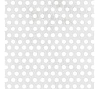 Alberts 466961 Tôle perforée | perforation de forme circulaire | aluminium, anodisée, couleur argent | 200 x 1000 x 0,8 mm