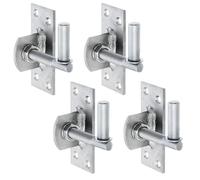 Alberts 852221 Gond à visser | réglable de 20 mm | acier inoxydable | cote axe Ø13 mm | platine 100 x 40 mm | kit de 4