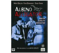 Albino Alligator