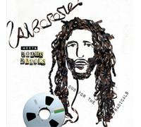 Alborosie meets Roots Radics Dub for the Radicals (Vinyl) 12" Album
