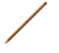 Albrecht Dürer Artistes Aquarelle Crayon, Marron Ocre