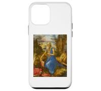 Albrecht Dürer - Saint Jérôme dans Le désert #2 Coque pour iPhone 12 Mini