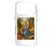 Albrecht Dürer - Saint Jérôme dans Le désert #2 Coque pour iPhone 17 Pro