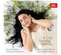 Albrici / Blazikova / Semeradova - Lily Among Thorns [Compact Discs]