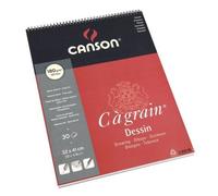 Canson-Infinity Bloc papier dessin C à grain 30 feuilles 29,7x43,7 cm 180 g/m² Blanc naturel