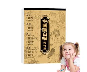 Album de peinture chinoise - Copie de dessins blancs, livre en papier de calligraphie | Cahier de croquis réutilisable pour débutants, pour étudiants, école, dortoir, salle de classe, studio à