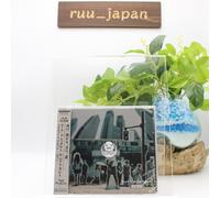 Album hommage NieR - écho - musique de jeu du Japon NEUF