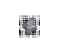 Ulrika Spacek – The Album Paranoia – Vinyle 12"