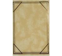 Album photo 9x13 300 photos 2-up Vinyl 5 beige