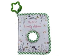 Album photo en tissu doux pour bébé avec miroir de sécurité | Livre de souvenirs à suspendre pour 17 photos de 10 x 15 cm | Première page personnalisable indéchirable pour souvenir de nouveau-né (vert