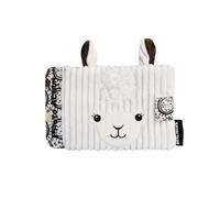 Album Photo Muchachos Le Lama