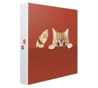 Album Photo Pochette cache-cache chat 200 CEANOTHE- Rouge